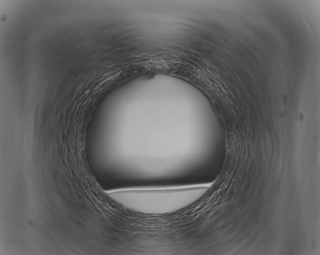 X0000087681297200705040740