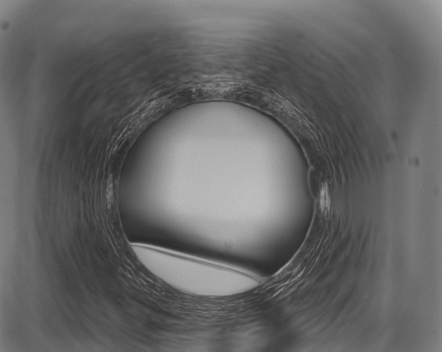X0000087681299200705040740