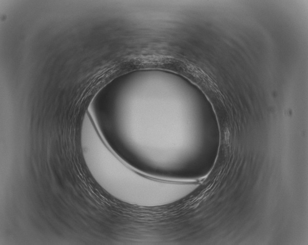 X0000087681300200705040740