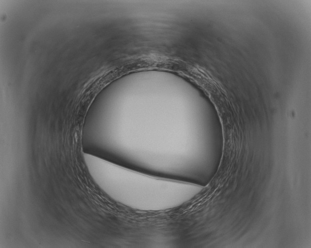 X0000087681302200705040740