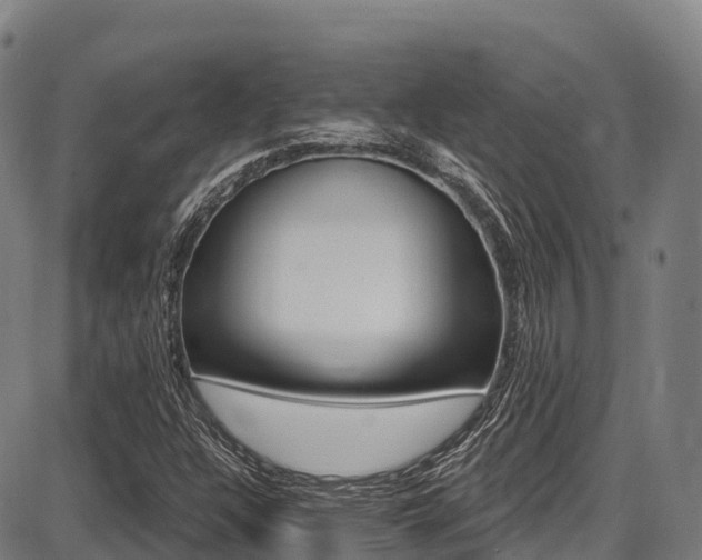 X0000087681304200705040740