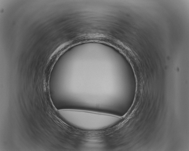 X0000087681306200705040740