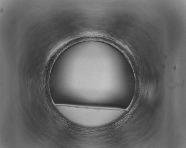 X0000087681311200705040740
