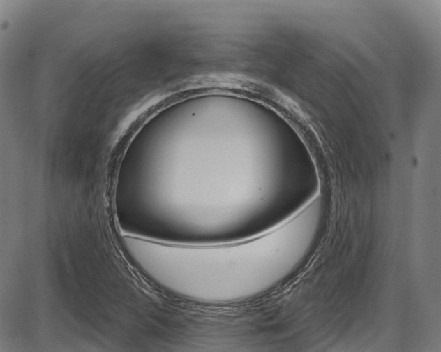 X0000087681312200705040740