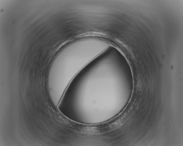 X0000087681313200705040740