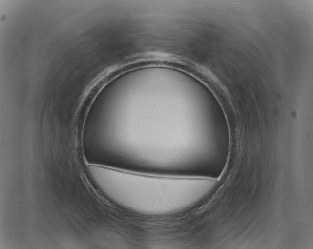 X0000087681318200705040740