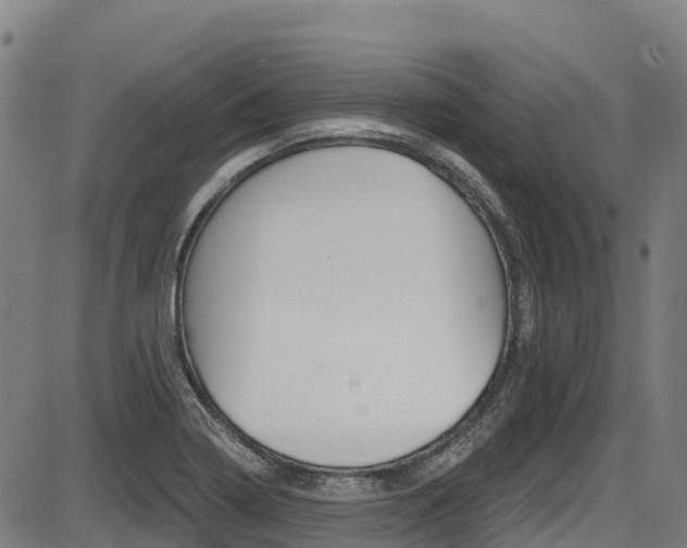 X0000087681322200705040741