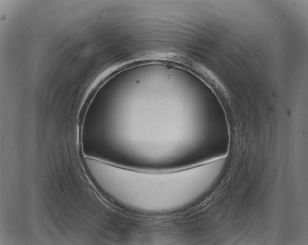 X0000087681324200705040741