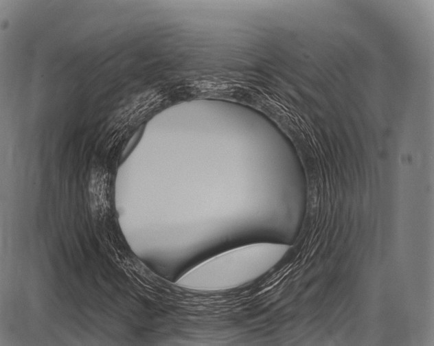 X0000087681346200705040740