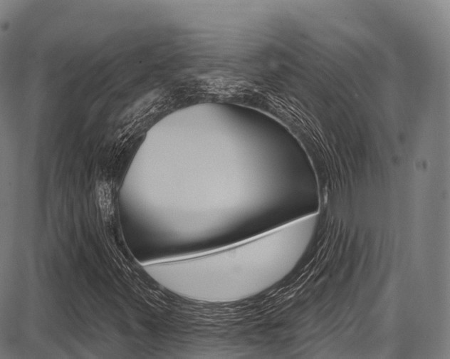 X0000087681347200705040740