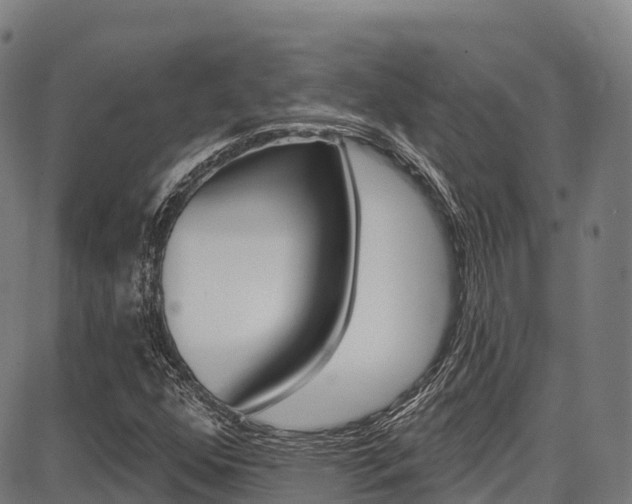X0000087681352200705040740