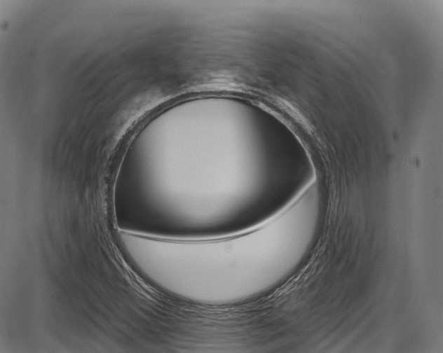 X0000087681356200705040740