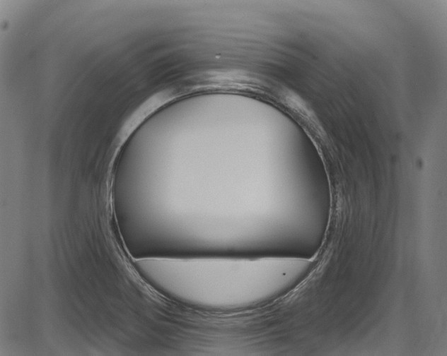 X0000087681370200705040740