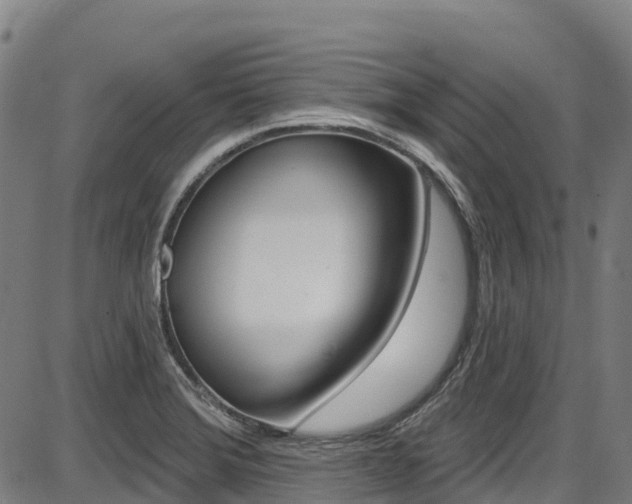 X0000087681372200705040740