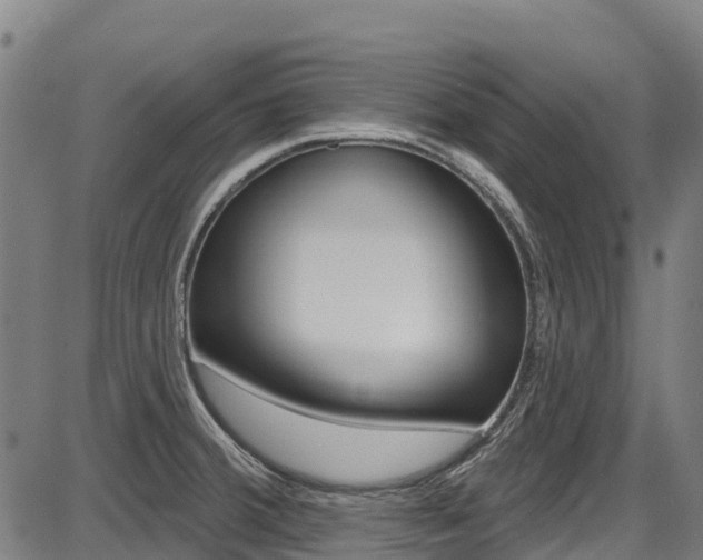 X0000087681380200705040740