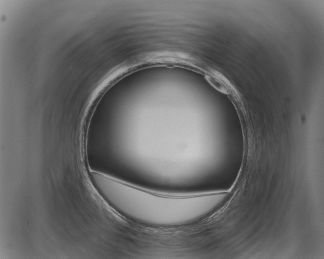 X0000087681384200705040739