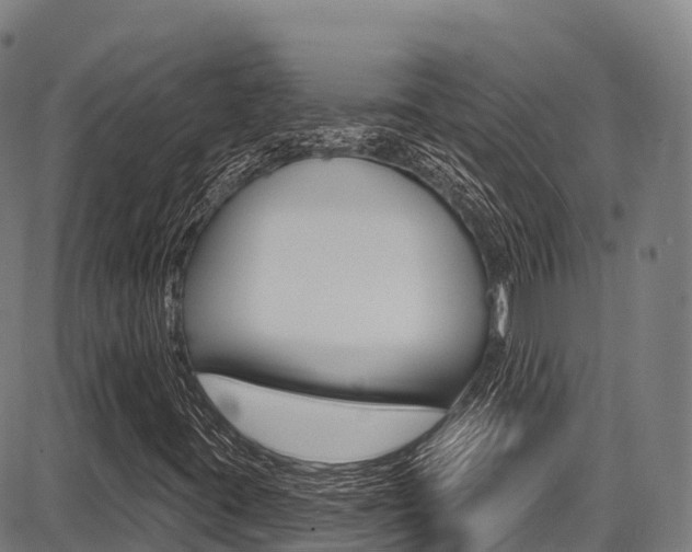 X0000087681395200705040739