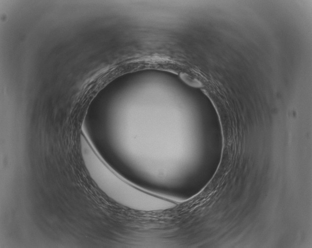 X0000087681398200705040739
