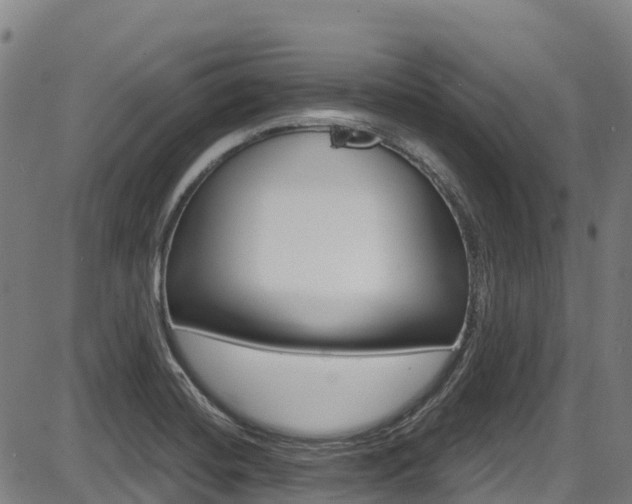 X0000087681420200705040739