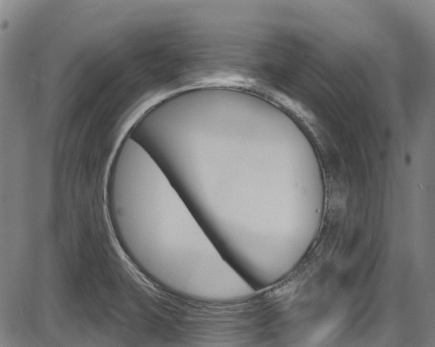 X0000087681423200705040739