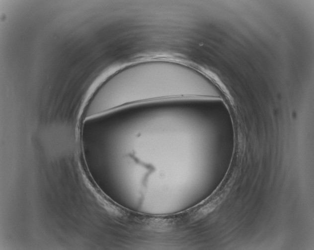 X0000087681424200705040739
