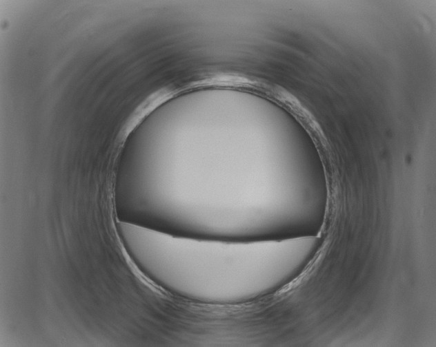 X0000087681425200705040739