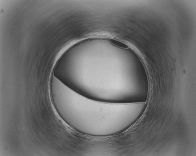 X0000087681440200705040739