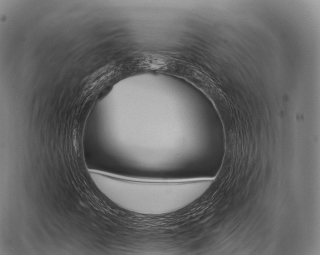 X0000087681442200705040739
