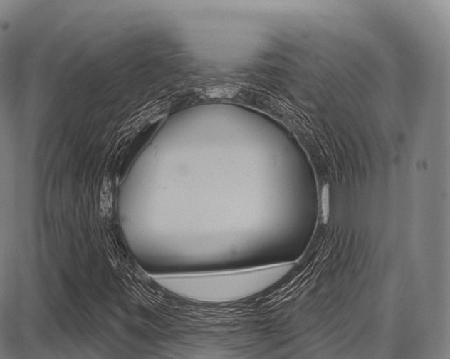X0000087681443200705040738