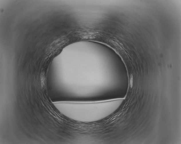 X0000087681444200705040738