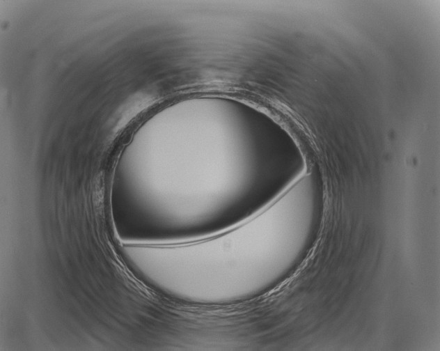X0000087681450200705040738