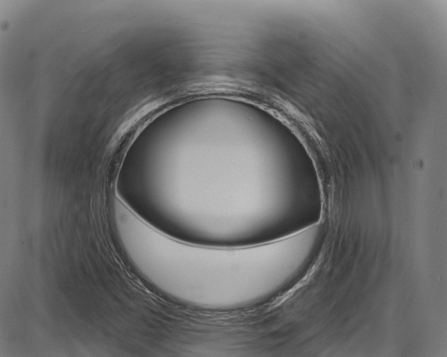 X0000087681453200705040738