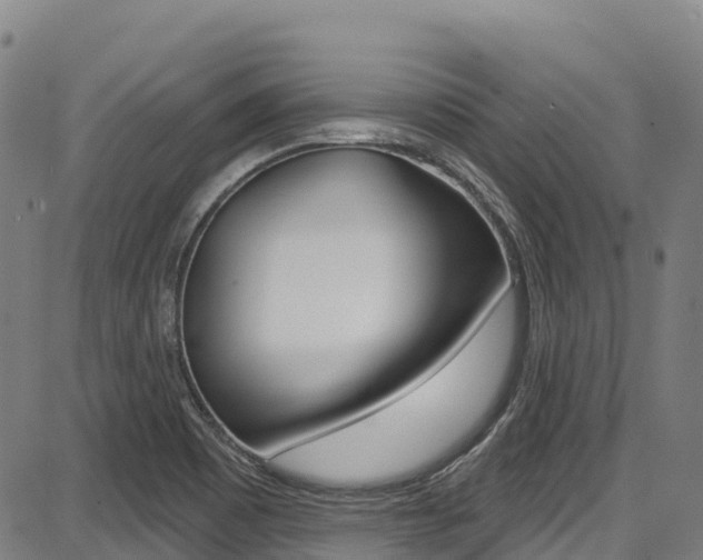 X0000087681465200705040738