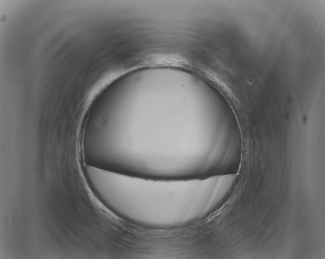 X0000087681471200705040738