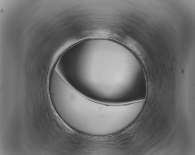 X0000087681480200705040738