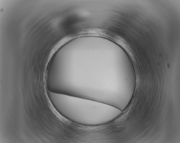 X0000087681482200705040738
