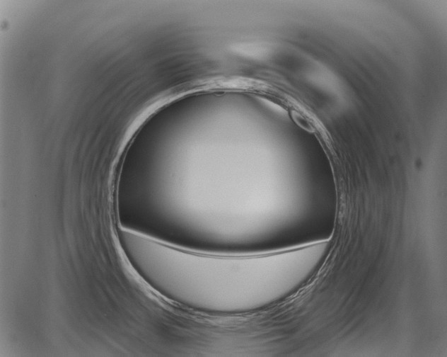 X0000087681483200705040738