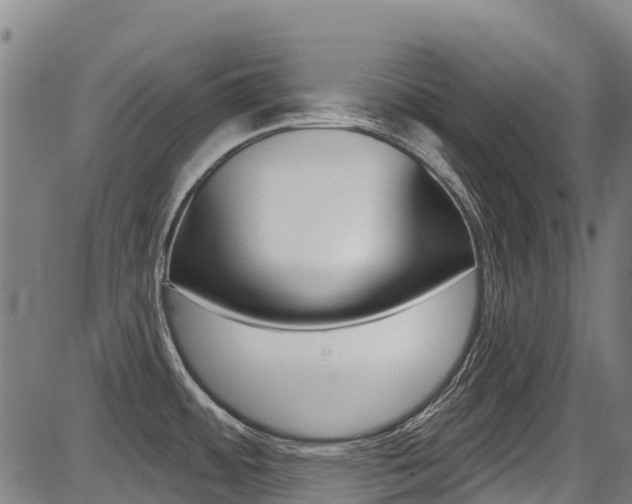 X0000087681484200705040738