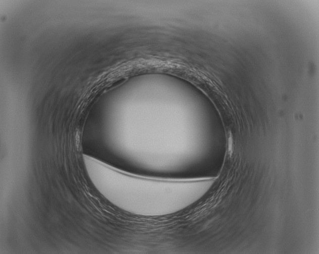 X0000087681492200705040737