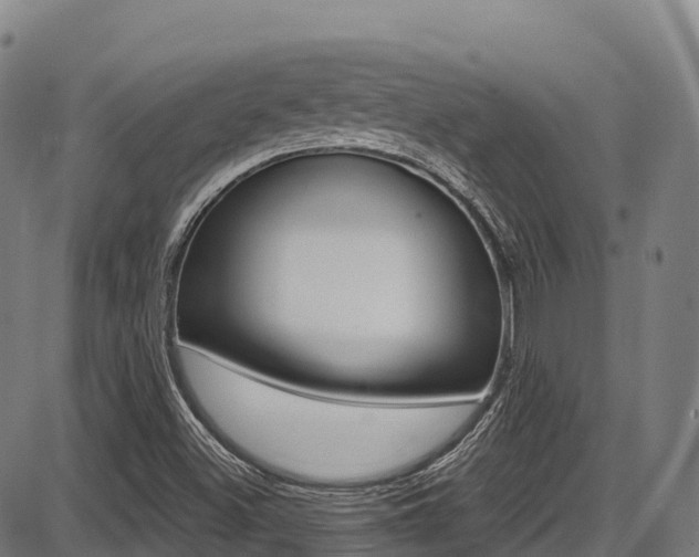 X0000087681500200705040737