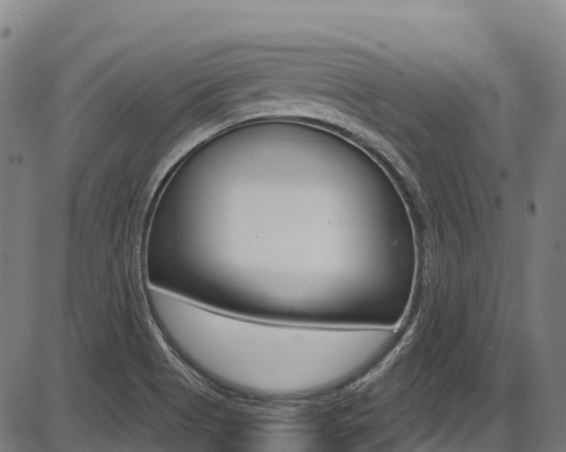 X0000087681513200705040737