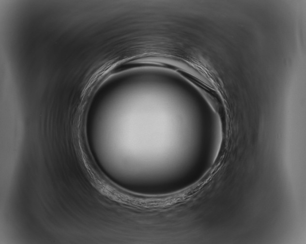 X0000087680001200705041037
