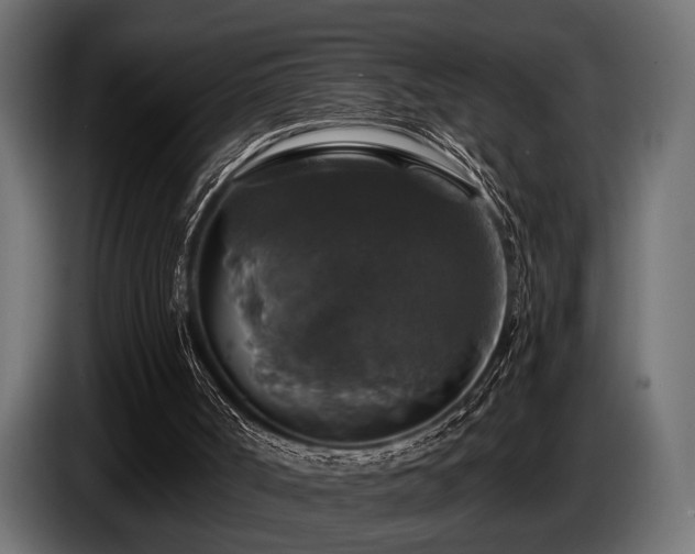 X0000087680002200705041037