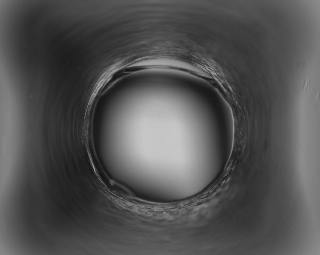 X0000087680003200705041037