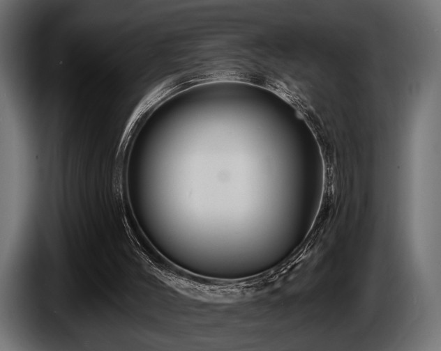 X0000087680004200705041037