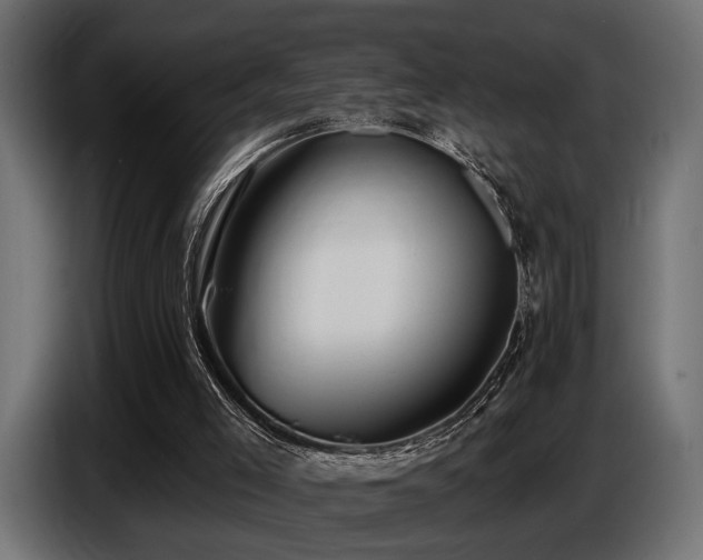 X0000087680005200705041037