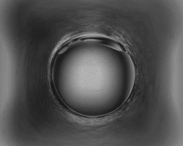 X0000087680006200705041037
