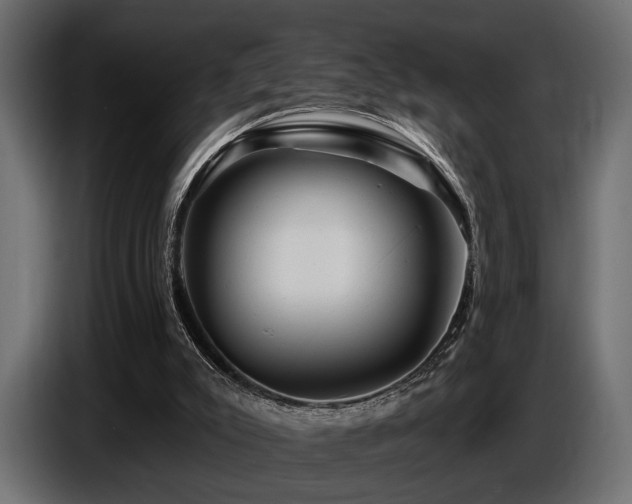 X0000087680007200705041037