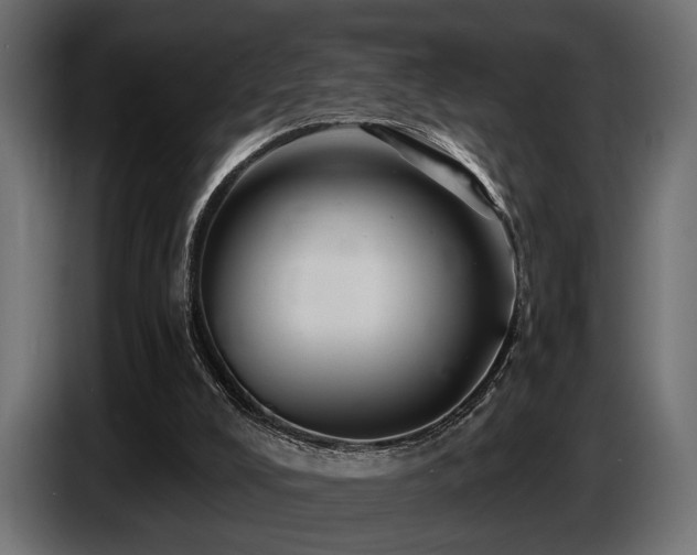 X0000087680008200705041037