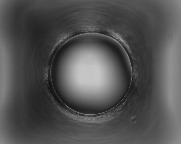 X0000087680010200705041037